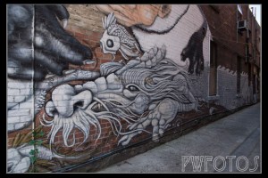 Melb_Graf-9