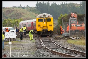 Careful checking as it comes into the yard.