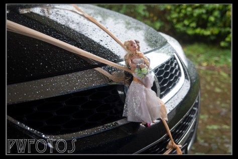 A very shoggy car accessory