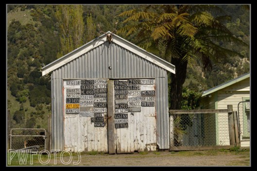 Anyone need a plate for a new car