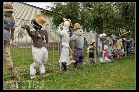 A collection of scarecrows adorn the school fence