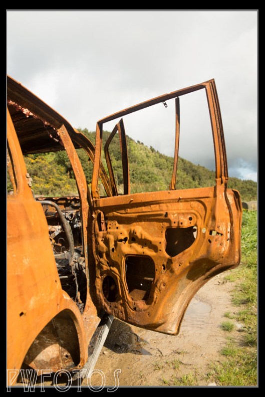I suspect that this car was taken for a joyride and then touched. In the middle of nowhere everything burned up