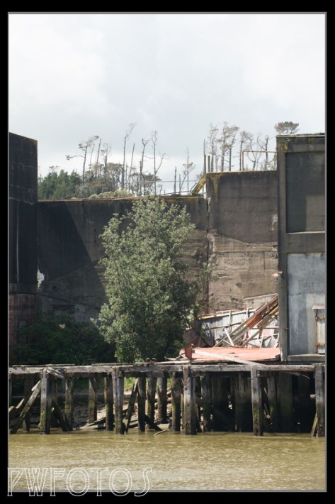 Vegetation is slowing taking over from the concrete.