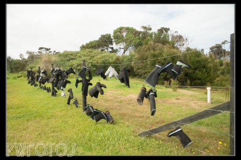 All over New Zealand you will find fences that people have adorned with objects. This one was just north of Kaitaia