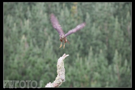 Leaving the landing spot.