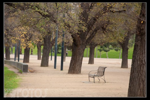 Parklands down by Yarra