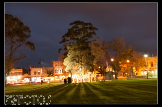 This is not pin sharp but I really liked the light coming through the trees. 