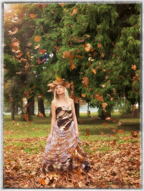 Autumn_FallingLeaves