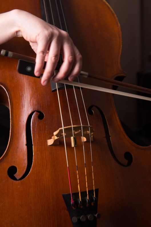 LR-Cello-4