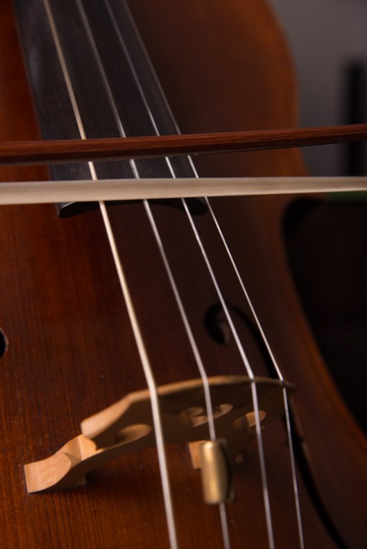 LR-Cello-5