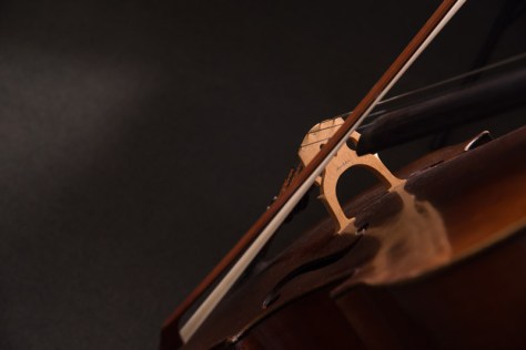 Close up of a cello