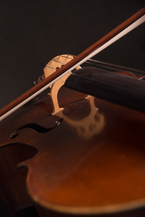 LR-Cello-7